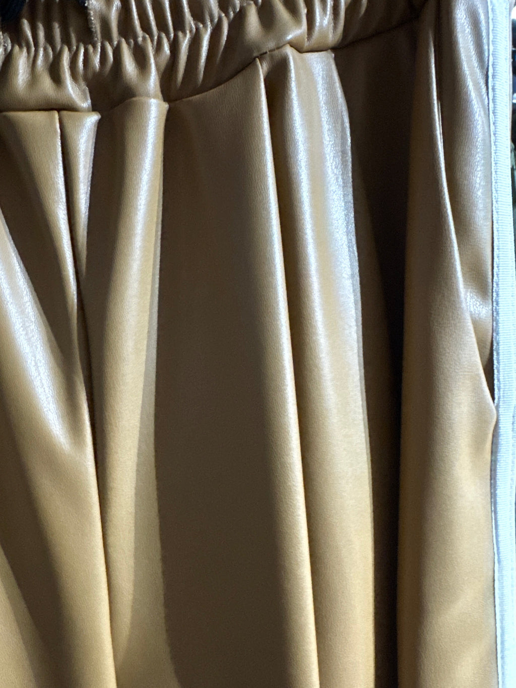 Panta in Pelle Curvy